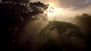 6.8K views · 100 reactions | Nature Is Speaking – Julia Roberts is...