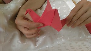Origami