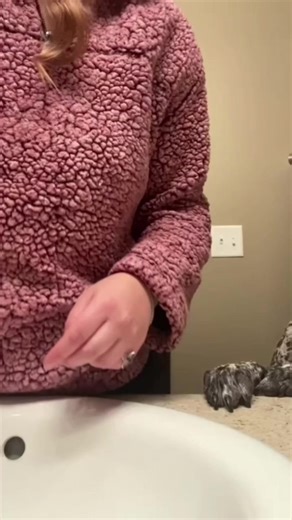 Funny Animal Voiceovers That Will Make You Laugh