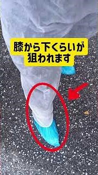 マダニ予防で何処を守る？