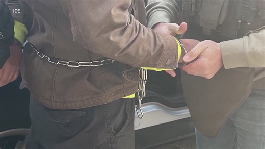 Appeals court to decide fate of ICE detainees' release on bond