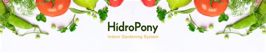 Hydroponic Indoor Gardening