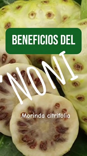 Noni: Una Maravilla para la Salud y sus Beneficios | Cómo Consumirlo y Prepararlo