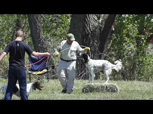 HuntSmith Foundation Seminar hosted by Dogs Unlimited