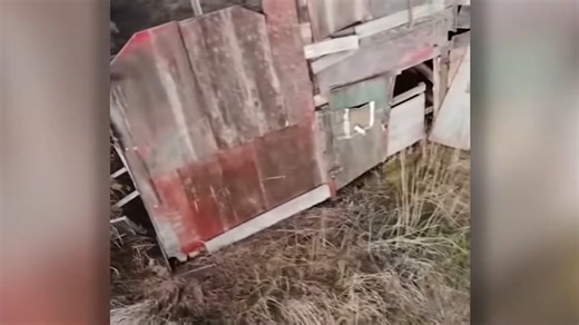 This Lady Released Clearest Images Of An Alien Trying To Invade Her House | T1 Mysterious & Discovery