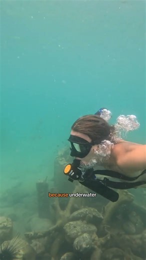 At DopeFish, professionalism isn’t about adding more. It’s about stripping things back. Because underwater, simplicity is what lasts. #dopefish #smaco #simplebydesign #underwaterfocus #minimalgear | Dope Fish Diving