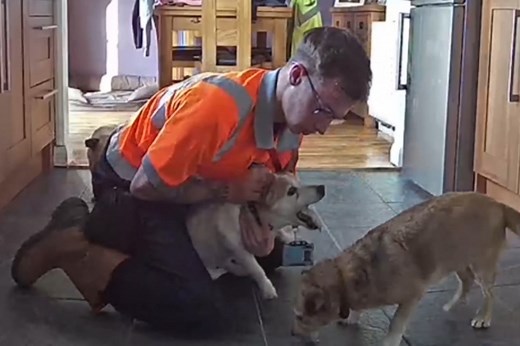 Pet owner performs Heimlich maneuver on his choking dog