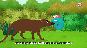 Evolution Of Whales - 鲸鱼进化过程 动画科普 英文