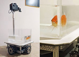 Scientists Taught Goldfish How to Drive a Water-Filled Robotic Tank That Reacts to Their Movement
