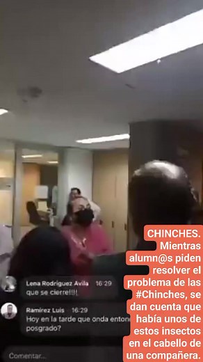 CHINCHES. Mientras alumn@s piden resolver el problema de las #Chinches, se dan cuenta que había unos de estos insectos en el cabello de una compañera. | Hecho en CU