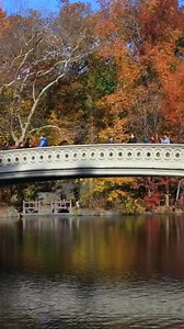 3.4K views · 301 reactions | Central Park + you = the recipe for an amazing autumn  Celebrate the first day of fall and get going on your fall bucket list with our free Fall Guide: https://bit.ly/45ZLGgF | Central Park | Facebook