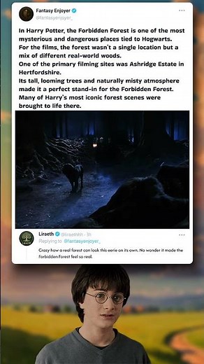 Forbidden Forest Filming Location Revealed | Harry Potter Facts #HarryPotter 🌲✨