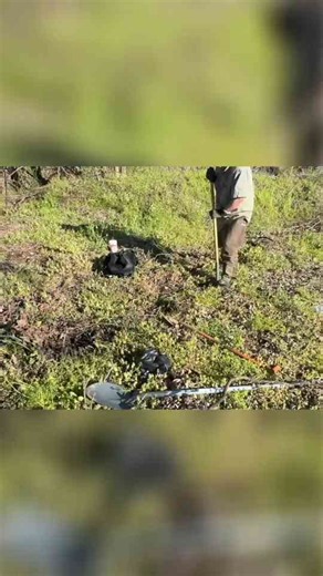 Antique bottle dig: Finding 120-year-old treasures!