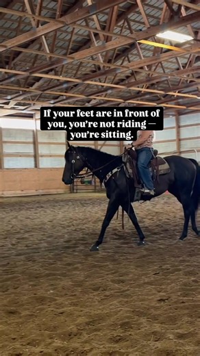 Mastering Proper Equitation for Better Riding
