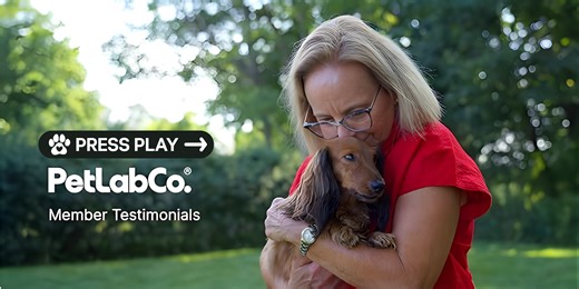 (2 pack) PetLab Co. Cat and Dog Dental Formula, Keep Dog Breath Fresh and Teeth Clean, Supports Gum Health - Water Additive Dental Care Targets Tartar - Packaging May Vary