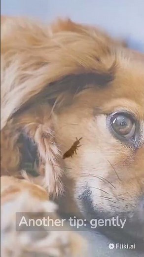 How to Determine if Your Dog Has Fleas: A Must-Know for Pet Parents