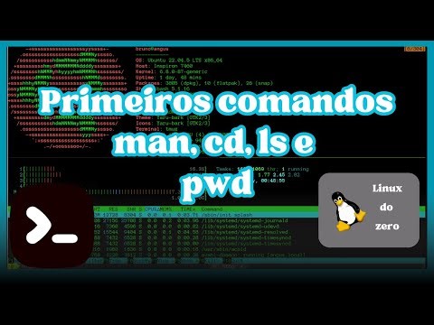 Aula 3 – Primeiros comandos: man, cd, ls e pwd | Curso Linux para Computação Científica