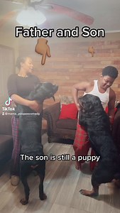 7.2K views · 168 reactions | My Son just got his First Rottweiler ! Meet Rex HE still a puppy & going to out grow his Father Yona | Tiffany Burdette | Facebook