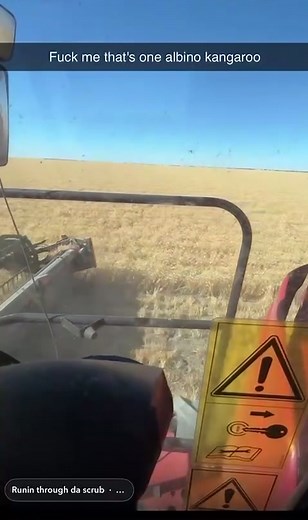 Exploring Australia's Unique Bush Tucker and Harvest 2025