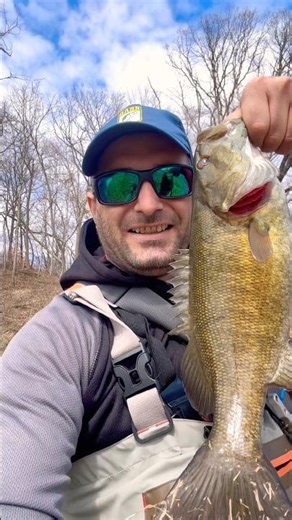 Creek smallmouth absolutely destroyed PB&J #fishing #shorts #bassfishing