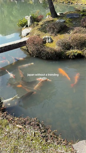 Experience Japan Through Unfiltered Sounds