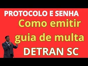 [DETRAN-SC] How to get the FINE PROTOCOL and PASSWORD