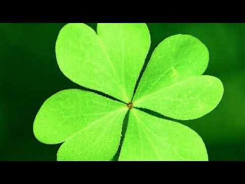 NHẠC NỀN THUYẾT TRÌNH