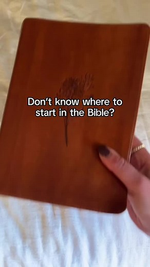 Ultimate Bible Study Guide: Where to Start & How to Choose Bible Plans