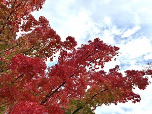 Sightseeing in Seattle 2025