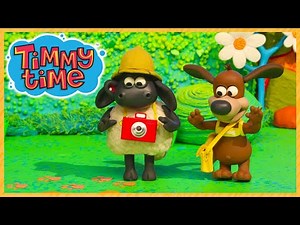 Timmy On Safari 🦁 | New Timmy Time Clip | Preschool Cartoon