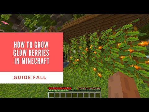 How to Grow Glow Berries in Minecraft