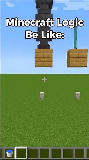 Is Steve Fat?💀 #filterchallenge