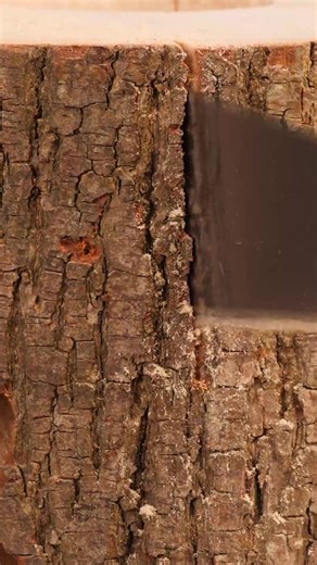 113K views · 496 reactions | Crafty Panda on Reels | Facebook