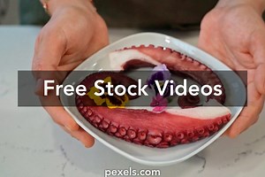 Wedding Place Videos, Download The BEST Free 4k Stock Video Footage & Wedding Place HD Video Clips