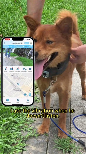 The 'selective hearing' is officially cured! #smartdogcollar #smartpetcollar #ecollartraining
