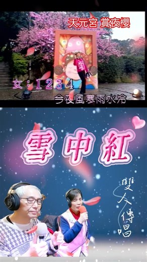 《雪中红》原唱：王識賢vs陳亮吟 傳唱： 雙人 (台灣漢語)