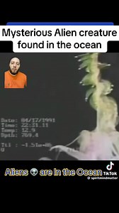 Mysterious Alien Creature found in the Ocean #aliens #outerspace #deepocean #fypシ゚viralシfypシ゚viralシalシ #fypviralシ #fypシ | French Dose