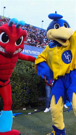 Hens-Hornets What to know