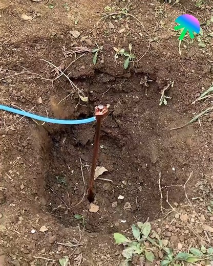 245K views · 685 reactions | Is Free Power Hidden in the Soil | Genius Cute Plus | Facebook