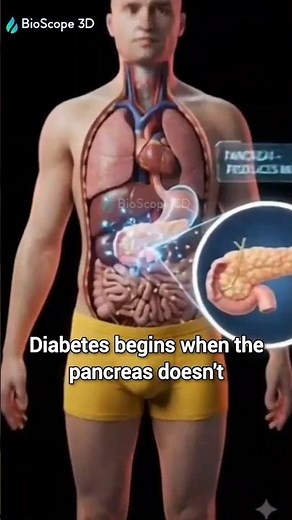 How Diabetes Damages the Body #Blood #Sugar #body #shorts #science #3d #diabetes