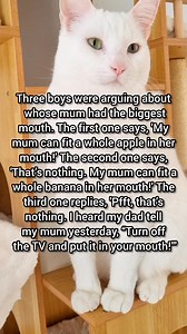 113K views · 629 reactions | And the biggest mouth award goes to... 藍藍 | Moomoo Cat | Facebook