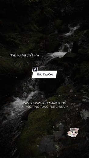 Ting ting ting tung tung ting.. #nhachaymoingay #qanhuocmauc #capcut #capcutpioneer #pioneertemplate @Update Mẫu Hot 🇻🇳