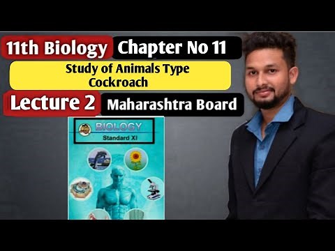 11th Biology | Chapter 11 | Study of Animals Type Cockroach | Lecture 2 | maharashtra board |