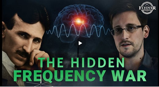 Mind Control, Microwave Weapons & Frequencies of Control - Leigh Dundas