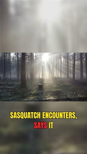 OHIO Bigfoot Encounters EXPLODE #bigfoot #sighting #trailcam