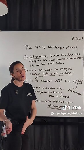 A-level Biology - The second messenger model explained in 5 minutes #lauradoesbiology #myedspace #biology #alevels #myedspacebiology