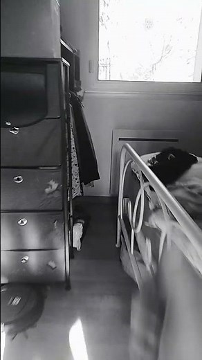 siren head dans la vrai vie