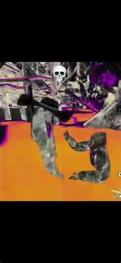 Echo VS pbbv #music #funnyimages #gorillatag