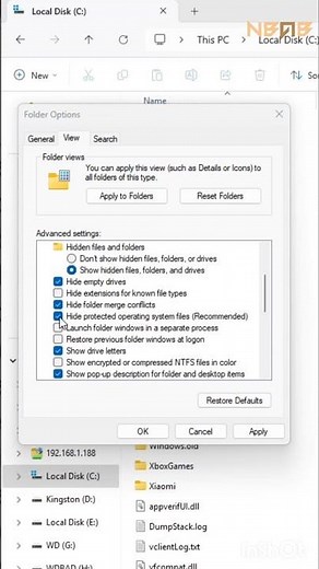 How to show hidden files on Windows 11 #windows #tech #tutorial