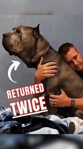 17M views · 635K reactions | He's been returned more than once  | Rocky Kanaka | Facebook